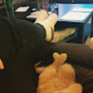 Meet your Posher, Lusha